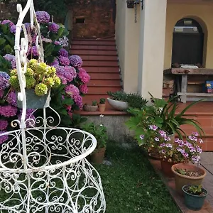 Dal Brillante Seravezza