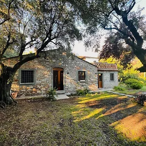 La Casina Di Susy Seravezza